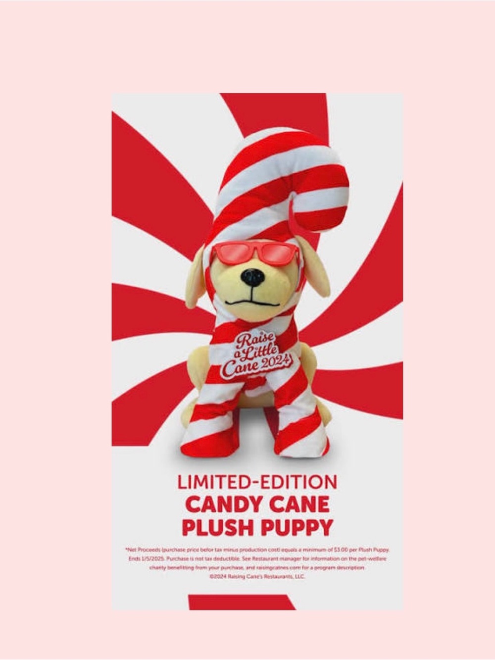 2024 Raising Canes Holiday Plush Collectible — NIP